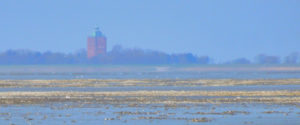 Leuchtturm im Watt