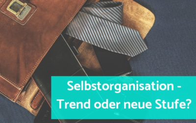 ﻿Alles nur ein Trend?          Oder zündet mit Selbstorganisation eine neue Stufe in Führung und Zusammenarbeit